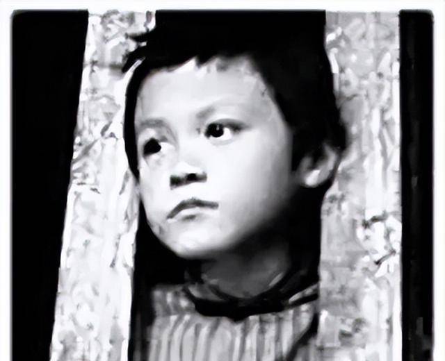1949年小萝卜头被特务杨进兴连刺三刀牺牲时手里攥着半截铅笔
