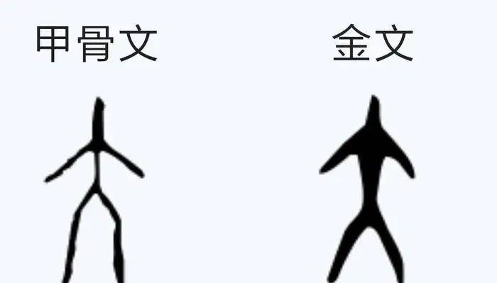 "大"字,最早的象形文字里,就有记述.