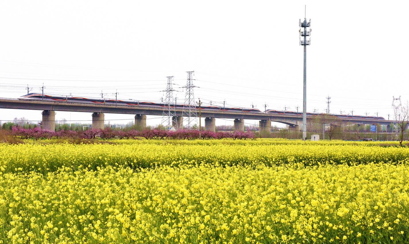 开往春天列车郑州最美风景