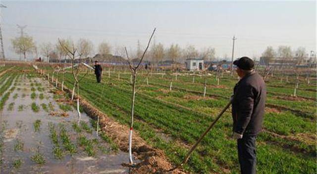 原创原创陕西一农村灌溉农田时大部分水都流向微小的洞口这是怎么回事