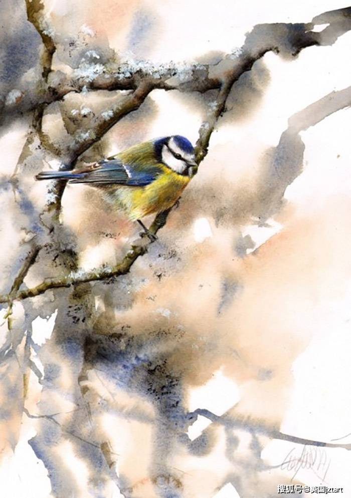 壁纸 动物 鸟 鸟类 雀 700_994 竖版 竖屏 手机