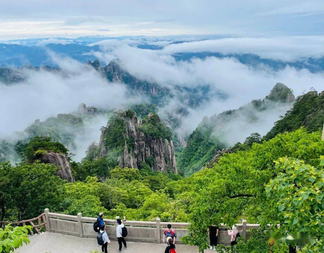 旅游团报名五日游多少钱黄山5日游经典路线一篇全网最详细的超全攻略