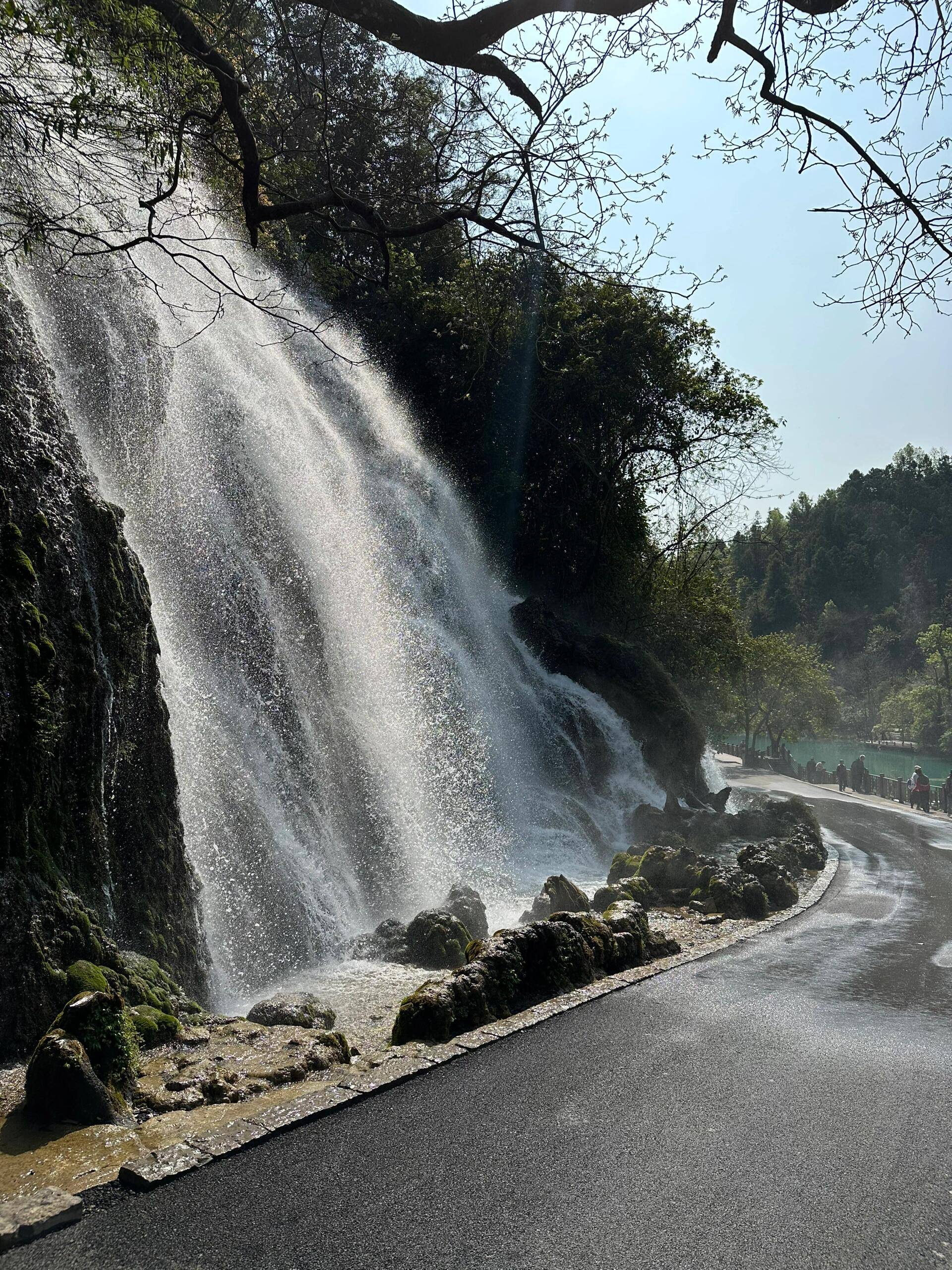 带着家人跟团去贵州旅游大概需要多少钱贵州旅行管家哪里找贵州旅行