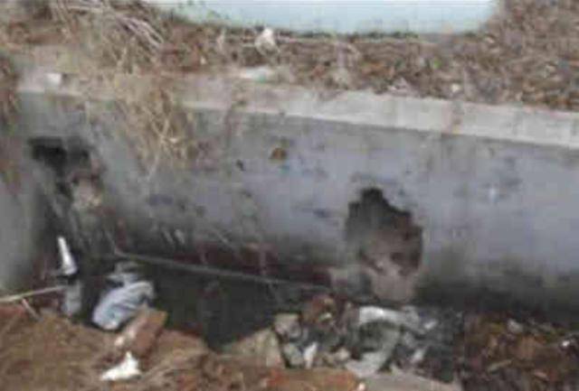 不是段子专家掉进粪池却发现商朝国宝揭开一神秘古国的面纱