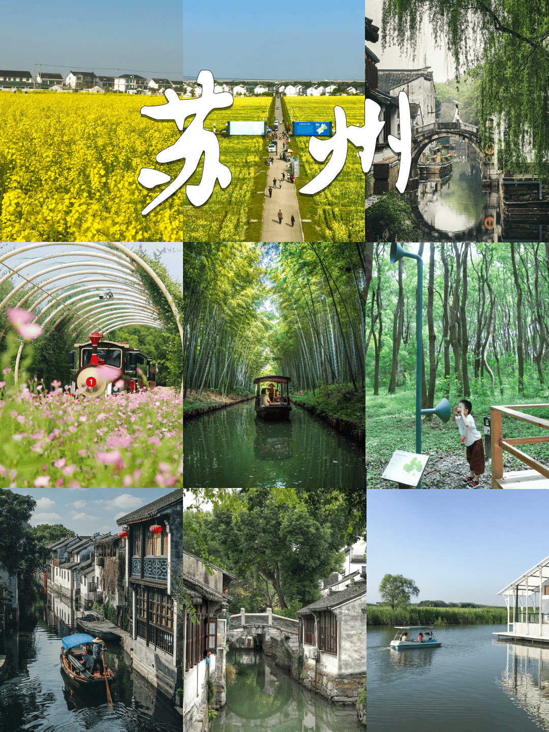 苏州假日游玩攻略赏油菜花游古镇湿地