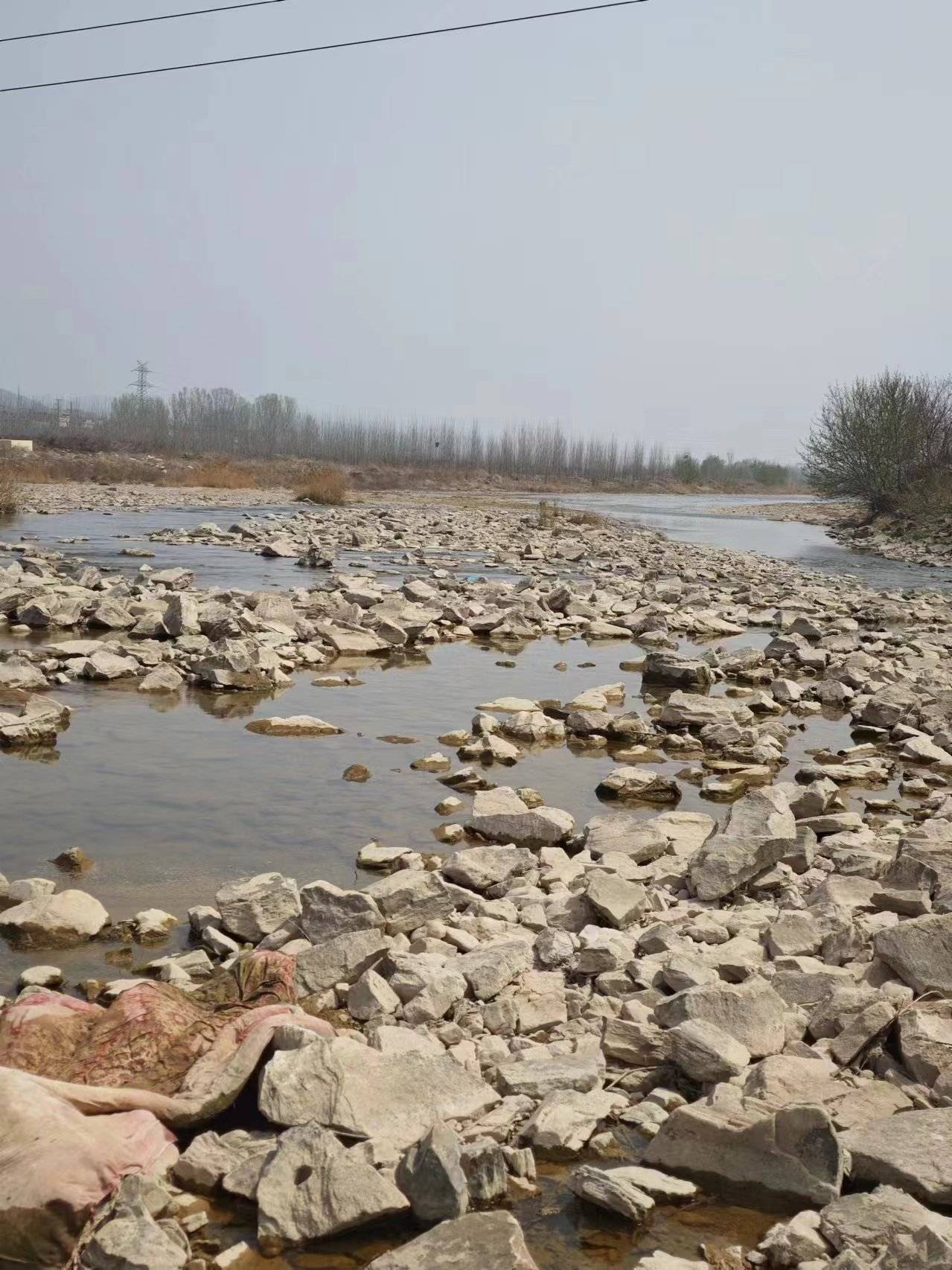 从马莲河到红水河