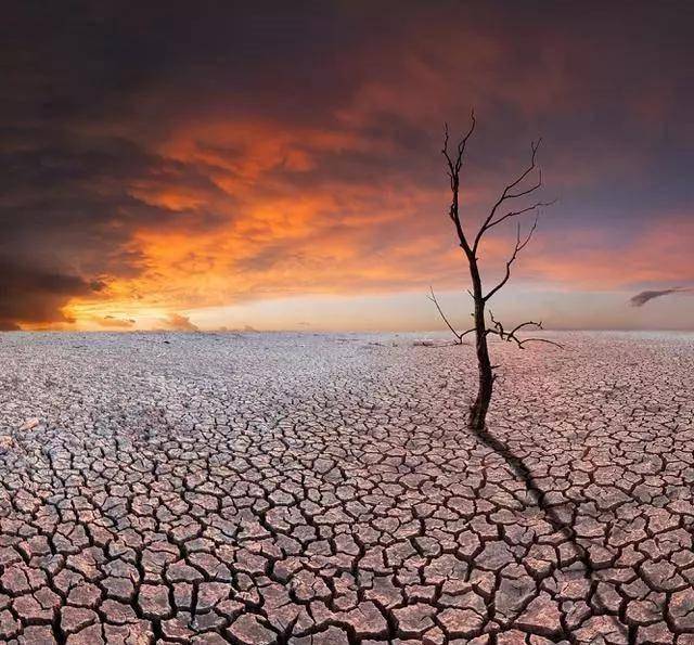 2007-2017的10年间,北京城更是降下数十次的暴风沙