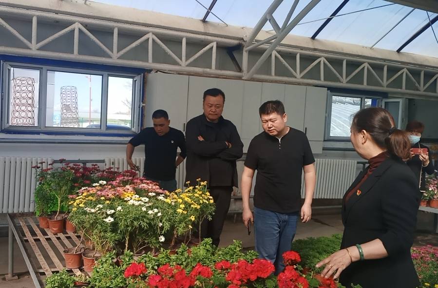 观摩学习找差距 绿化交流促提升_工作_吉木乃县_方面