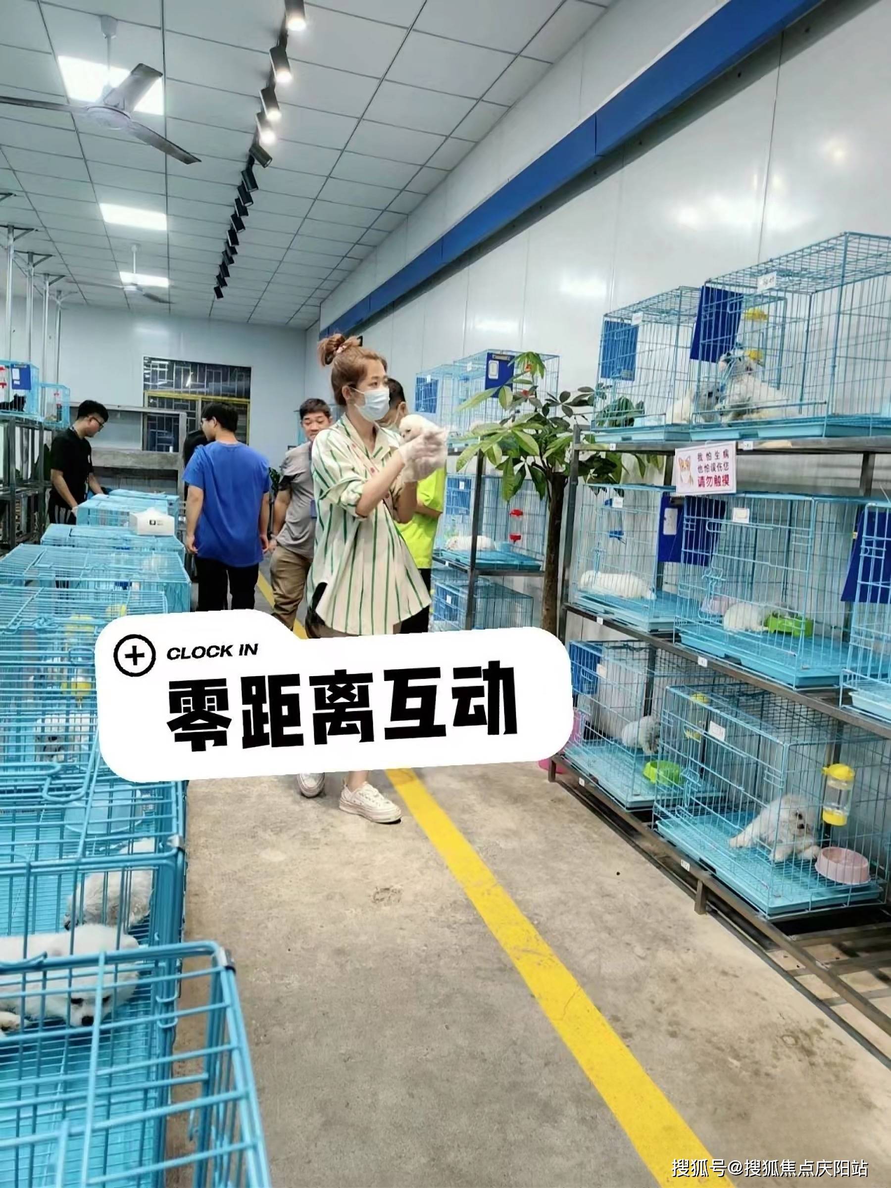 买宠物首页网站杭州萧山区口碑好的宠物店在哪里