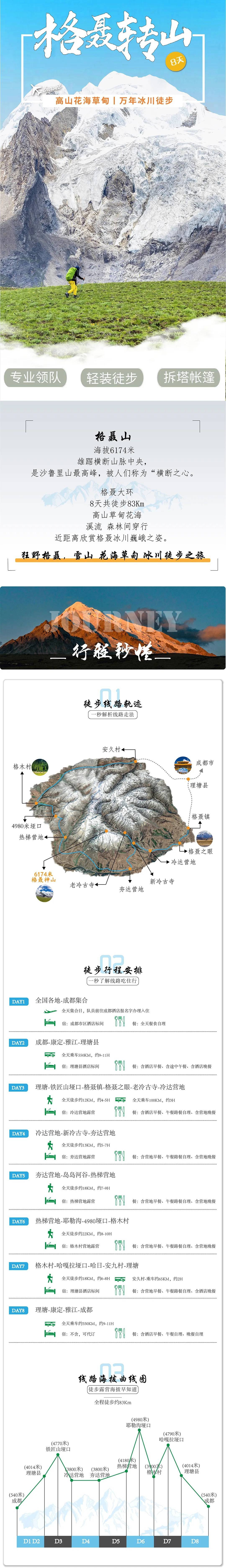 天麻横切面简图图片