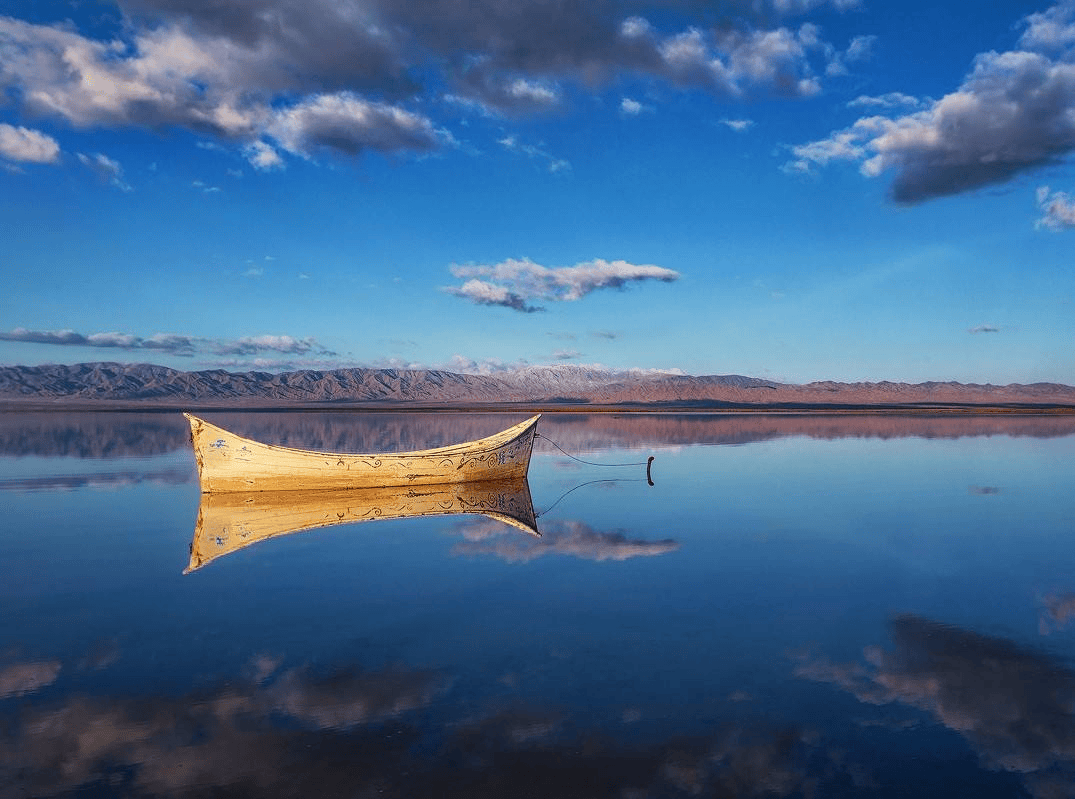 无眠夜之杂想三一一细节文/燚燚我在花前,举一杯酒,慰我颠簸的流年.