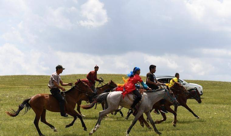 地区_西北_草原