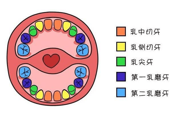 孩子_家长_牙齿