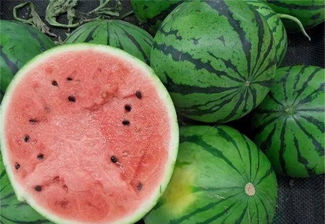古人的消暑神器西瓜是如何传入中原的