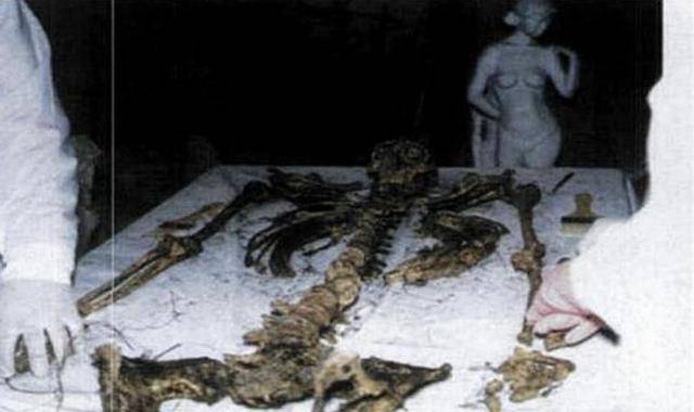 原创三峡猴娃是野人吗专家开棺检查遗骸他的六大变异如何解释