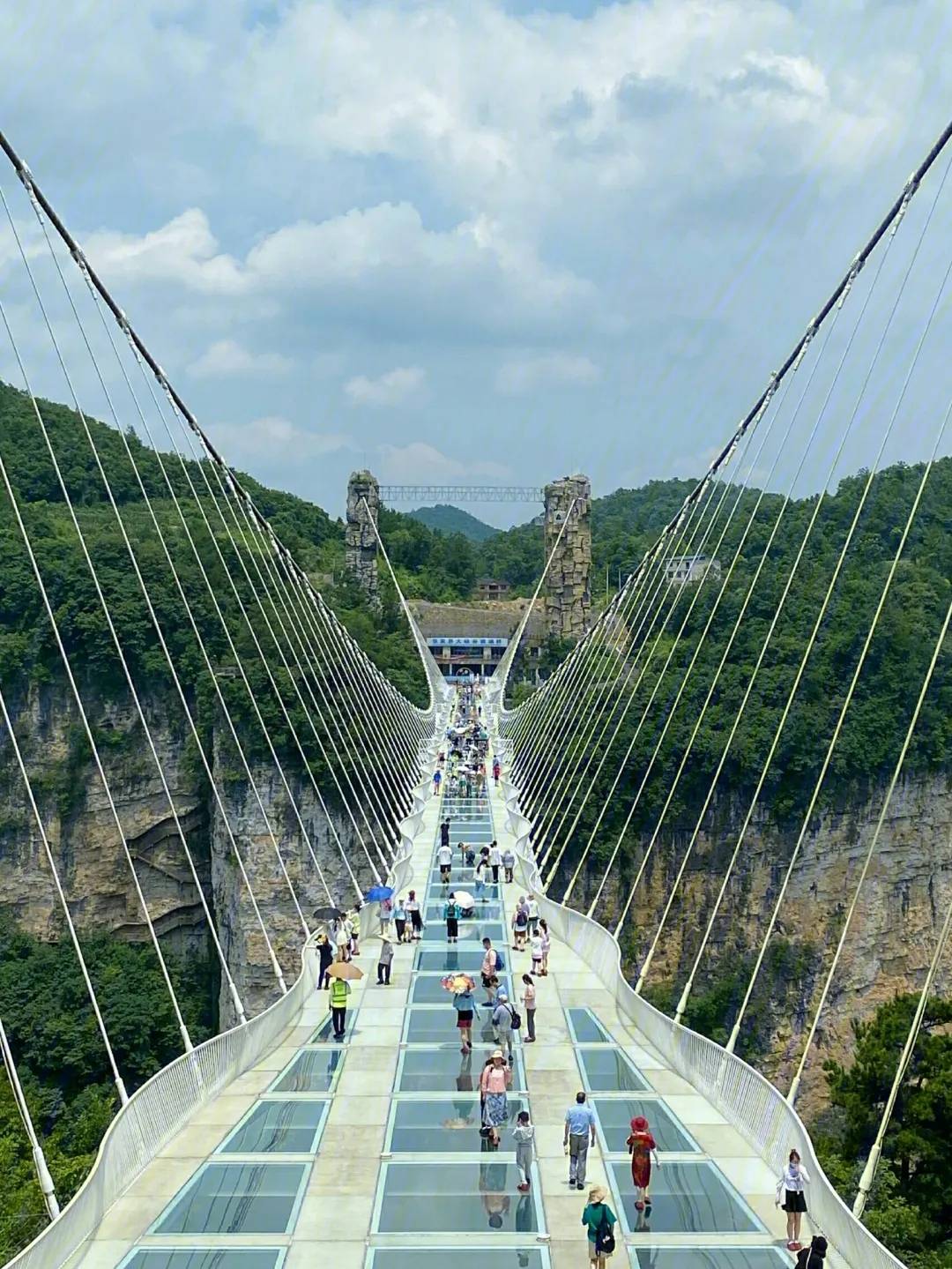 1080_1439竖版 竖屏