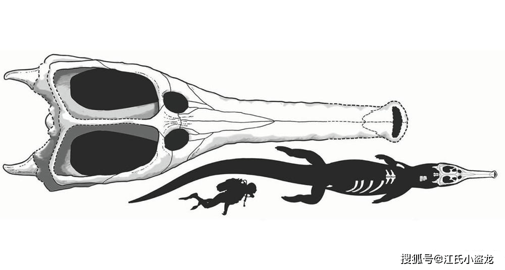 【史前巨鳄】海鳄之王——君王马奇莫鳄