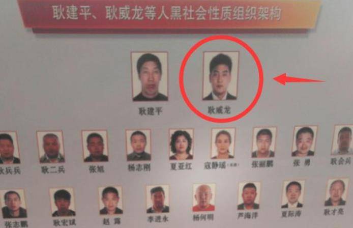 原创首富儿媳寇静瑶19岁嫁入豪门31岁成a级通缉犯结局怎样