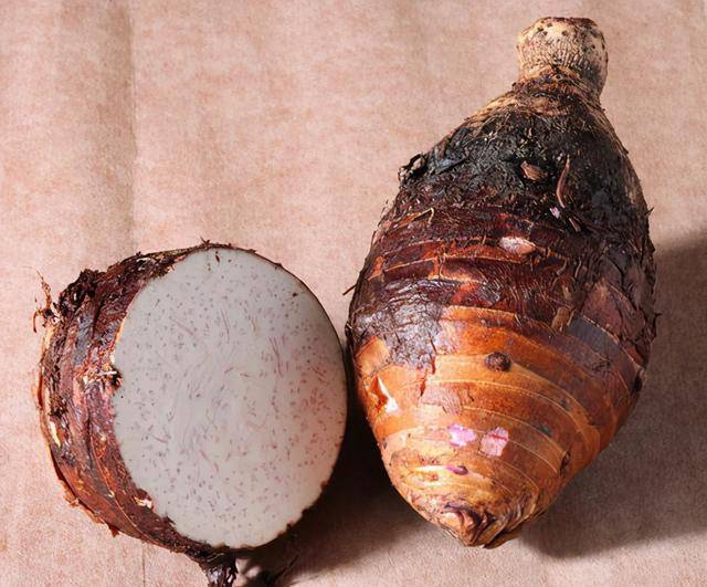 我军部长返乡探亲为支持话剧团改变行程得知真相令人感动不已