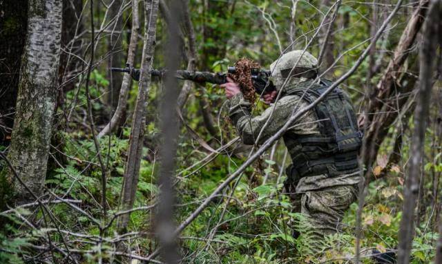 现实作战中,真的可以用树木作为掩体吗?