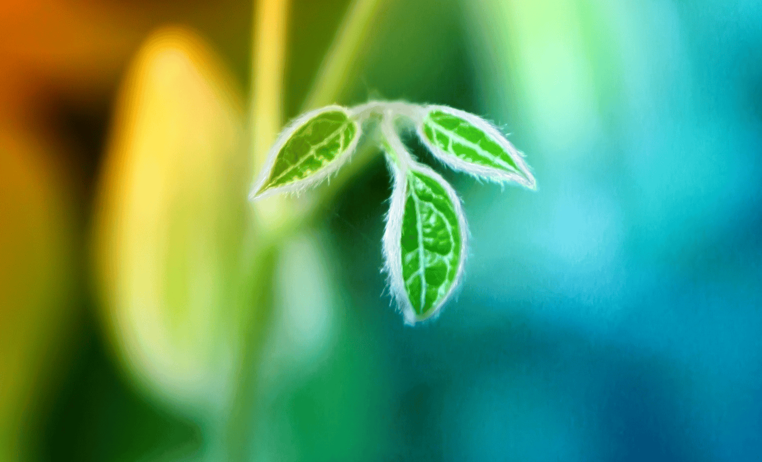 2024年4月21日 十二生肖每日好运播报