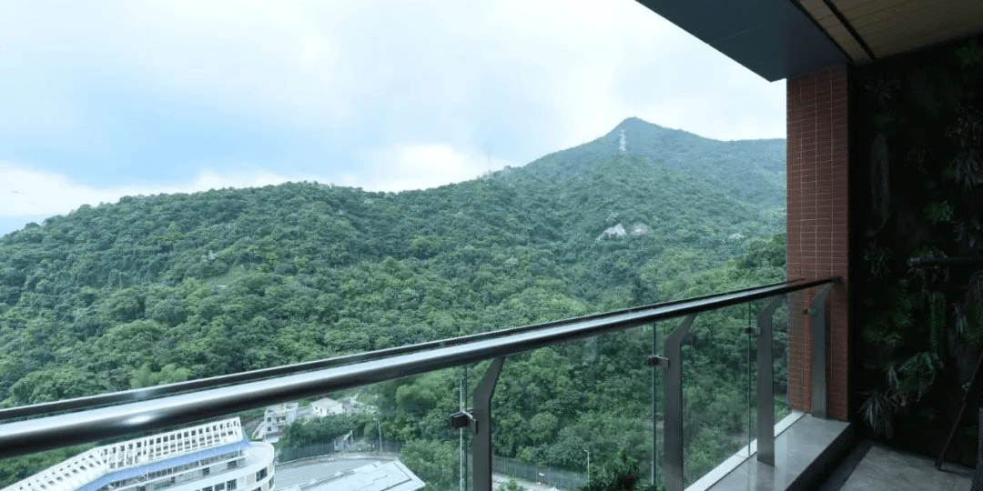 深圳合泰御景翠峰优缺点_交房时间_使用率_项目介绍_花园地址