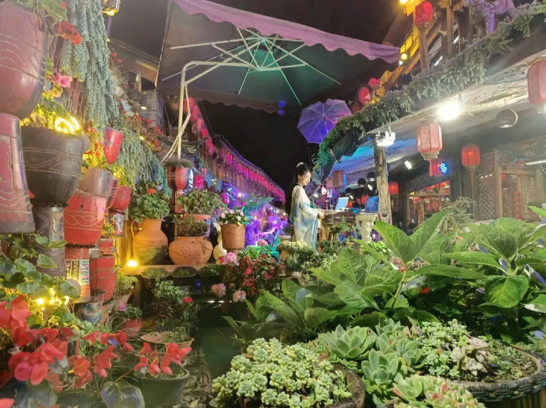 云南大理丽江旅游自助游怎么找当地导游,看完就知道了