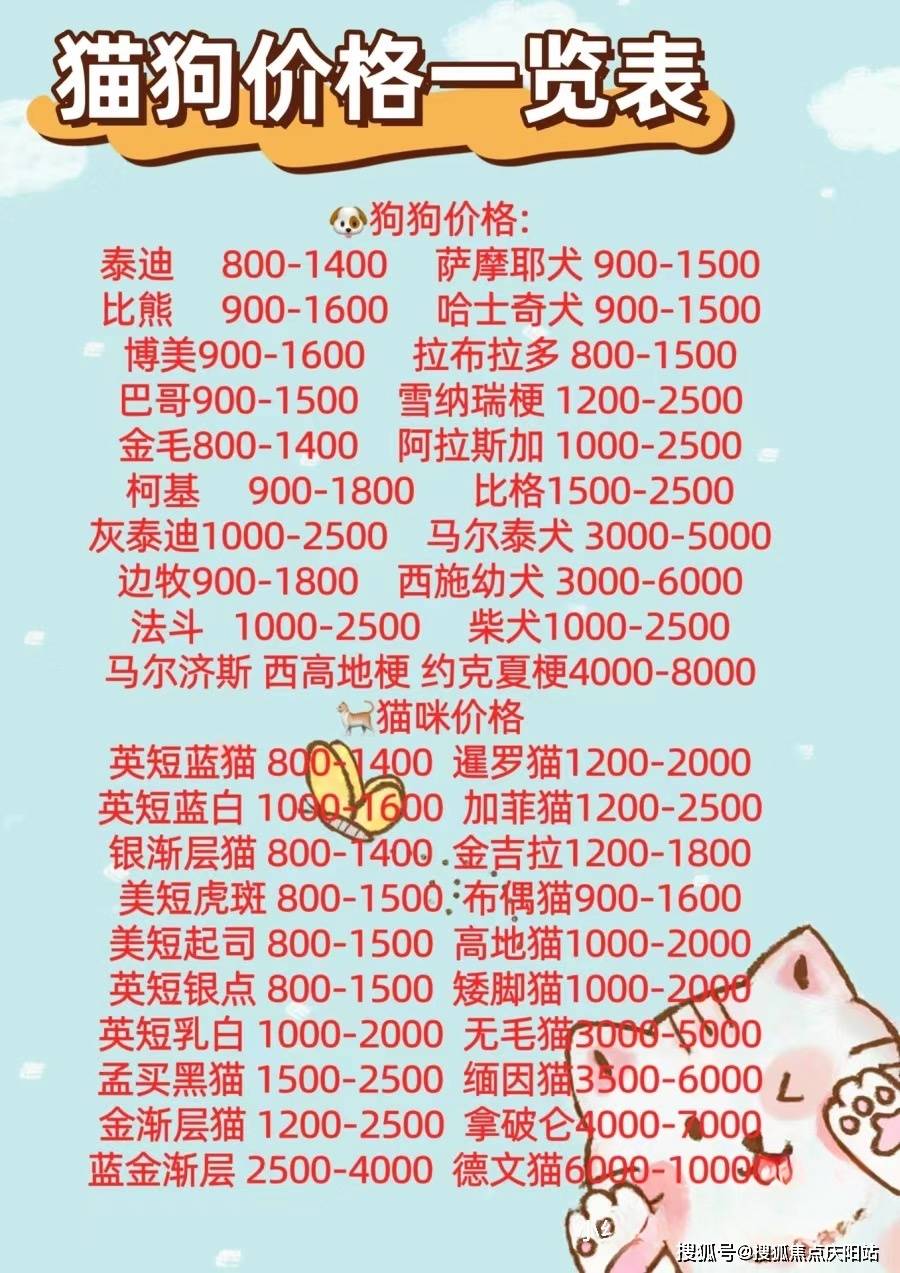 温州买拉布拉多狗狗首页网站丨温州龙湾区买拉布拉多狗狗哪里比较安全