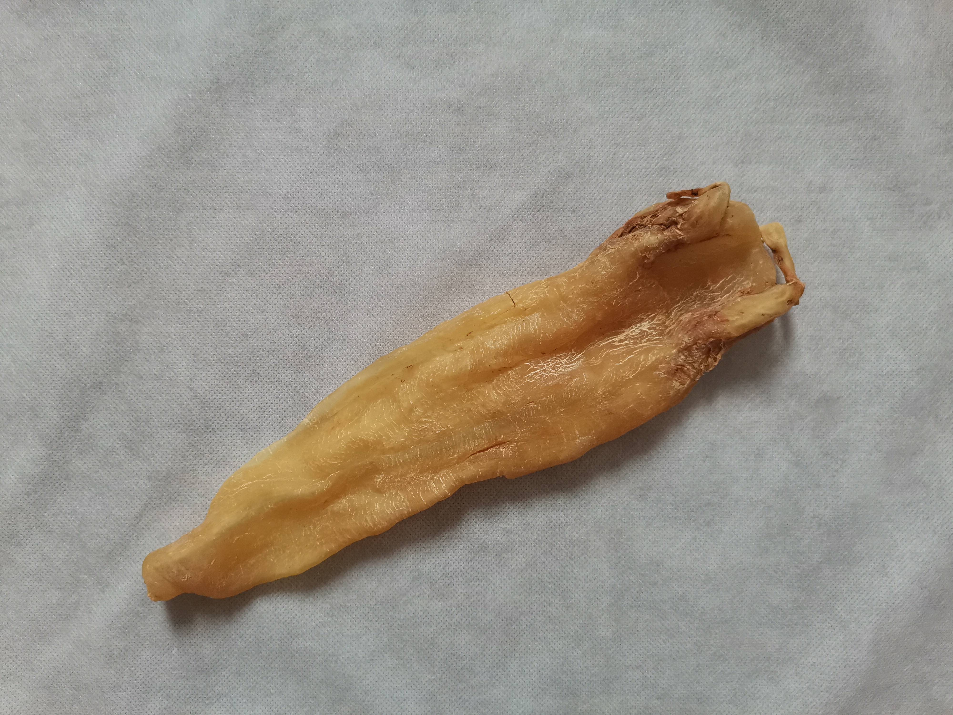 鱼胶一斤500元的好吗