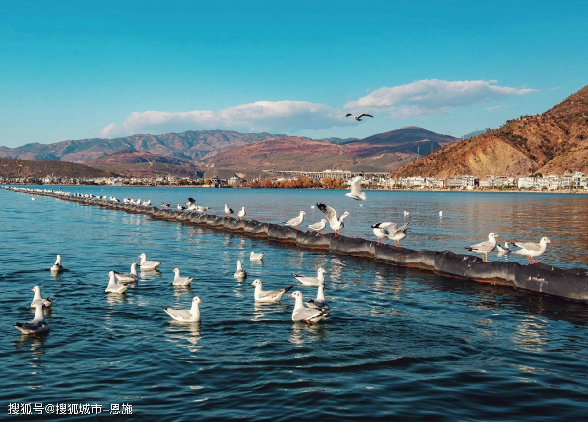 大理旅游攻略自驾游必玩的景点推荐,云南旅游少走弯路,不花冤枉钱!