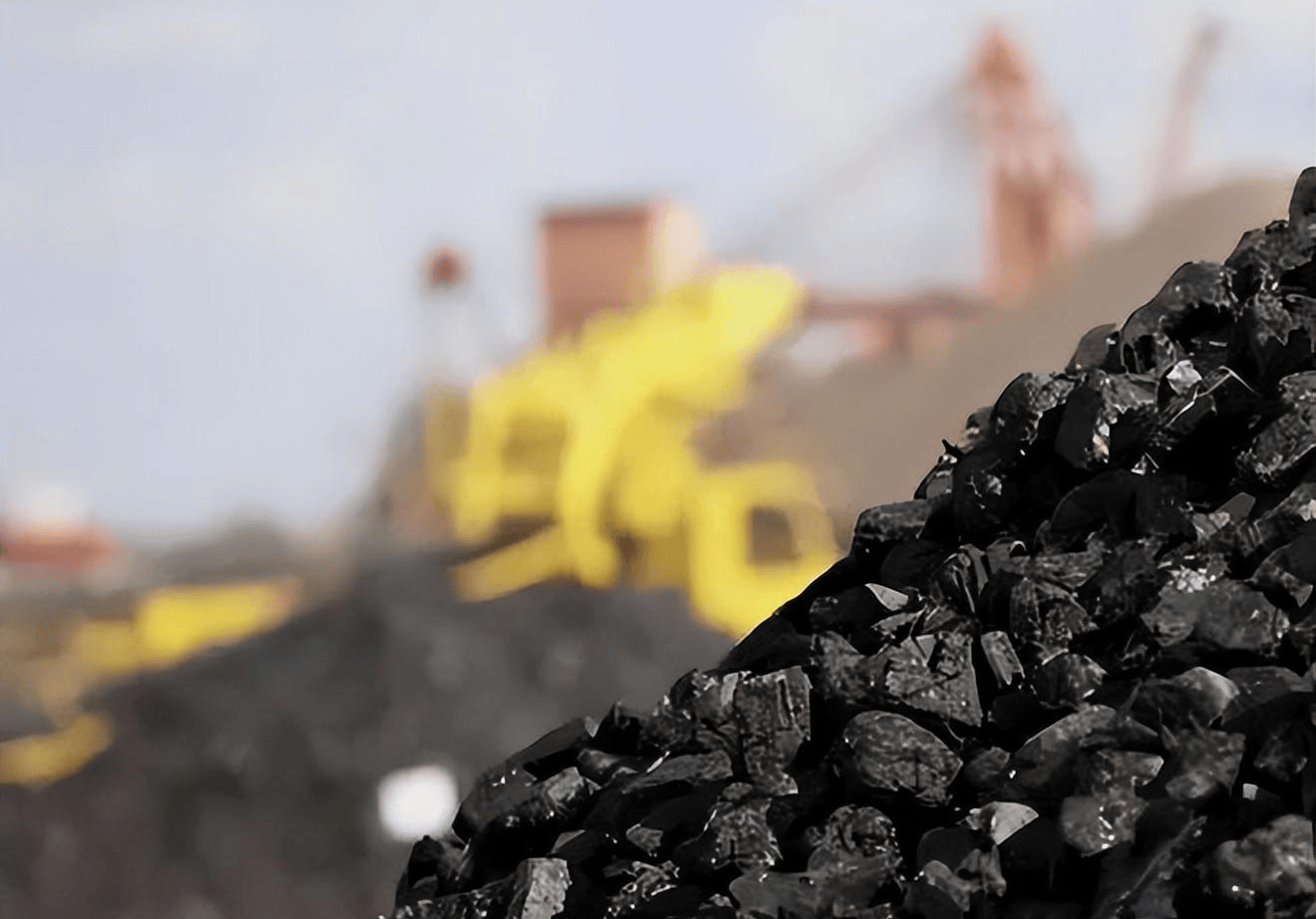 世界最大的煤田竟是植物