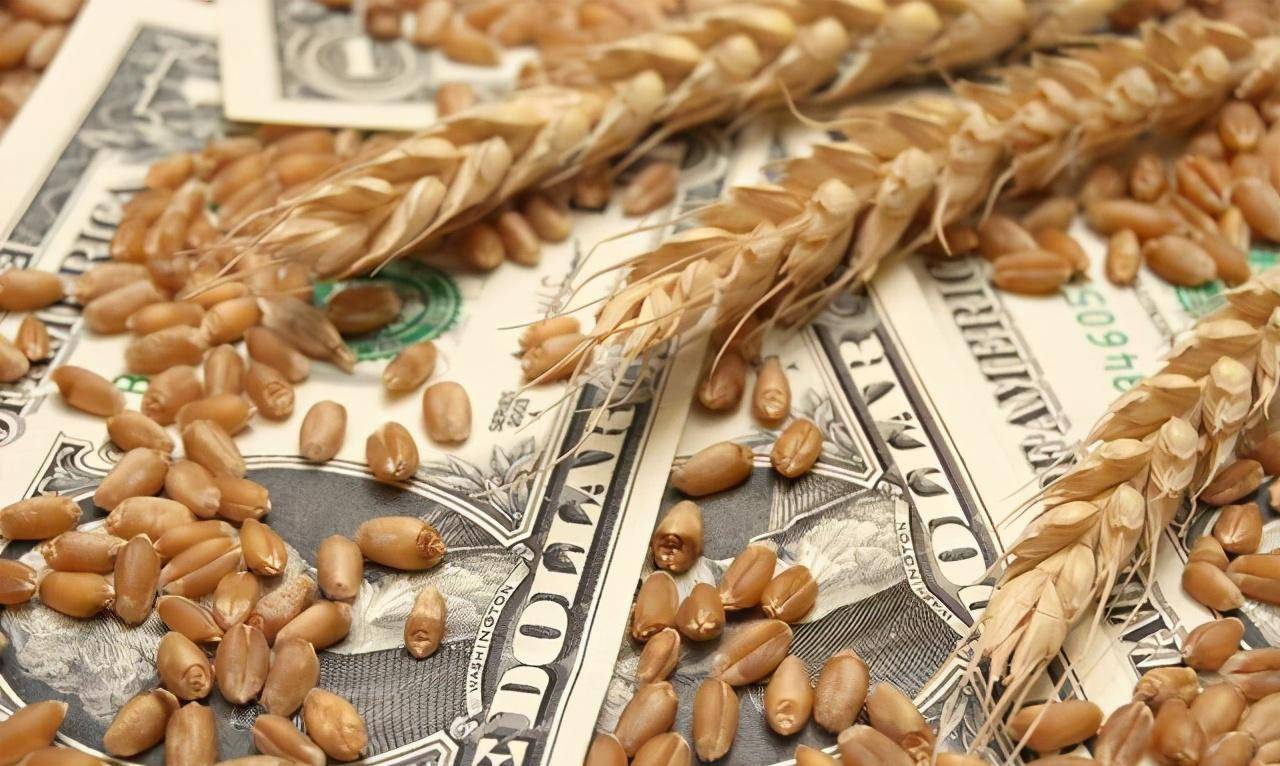 操控粮价,联手粮商,制造危机:美国靠粮食收割全世界?
