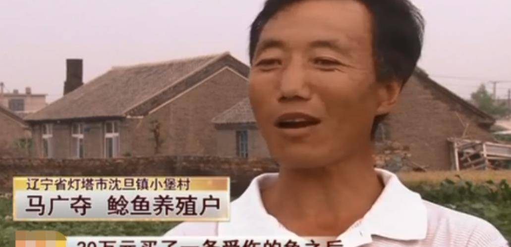小堡村的渔民自2003年开始养殖怀头鲶鱼,一个村的总养殖产量高达500万