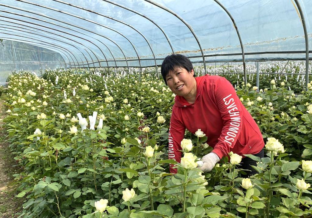 何為農村電商平臺_農產品電商平臺的優勢與劣勢_十大農產品電商平臺