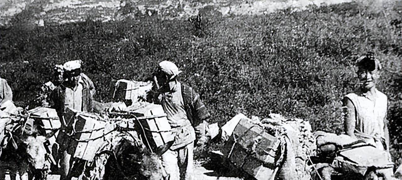 16年,铁道游击队徐广田后代寻亲,85岁遗孀见到照片连声说"是"