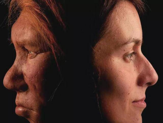 美国科学家宣称,有能力复活尼安德特人,只是找不到代孕妈妈