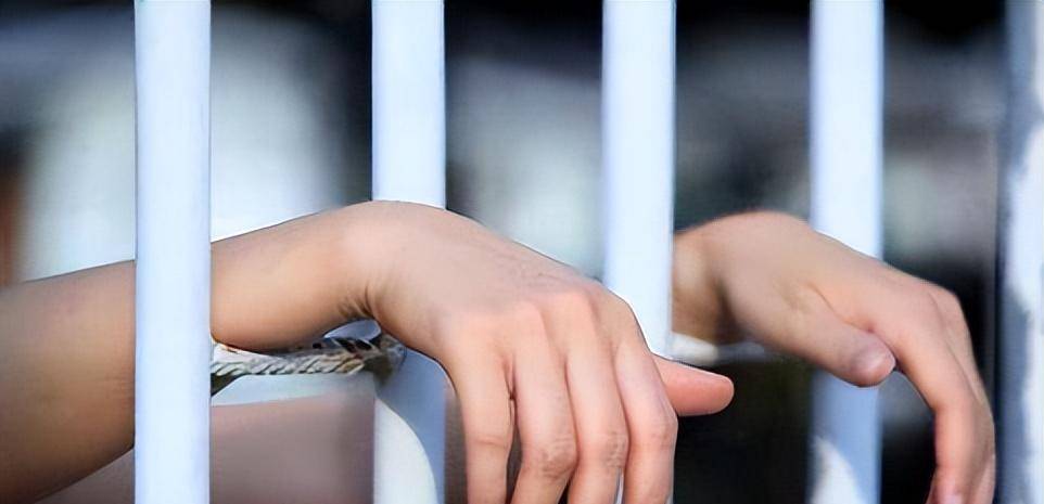 鉴于种种情况,更多的人愿意相信,孙亚宇所说一定是为了替自己开脱罪名