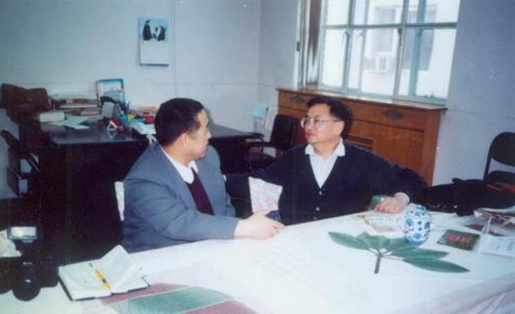 林徽因离世后,孙子孙女全部改姓,真的是因为梁思成再婚吗?