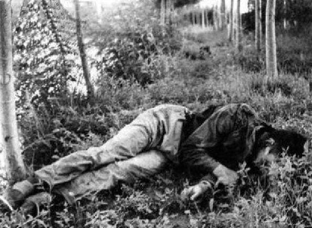 1983年,王氏兄弟持枪杀伤18人,逃亡7个月,出动3万人围剿才击毙