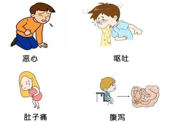 常见疾病之一:急性肠胃炎