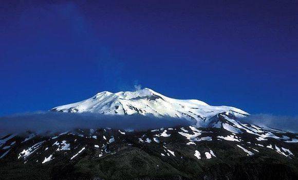 岛上只留了三条狗,美军登陆却为何却损失了300人?_美国_基斯卡_日本