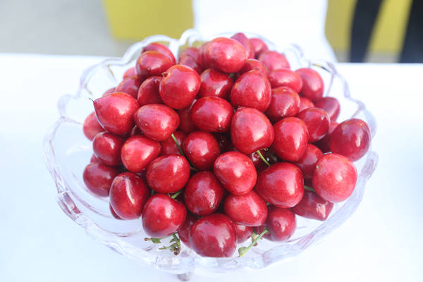 五月的澄城送来了,初夏大自然甜蜜蜜的馈赠澄城樱桃!