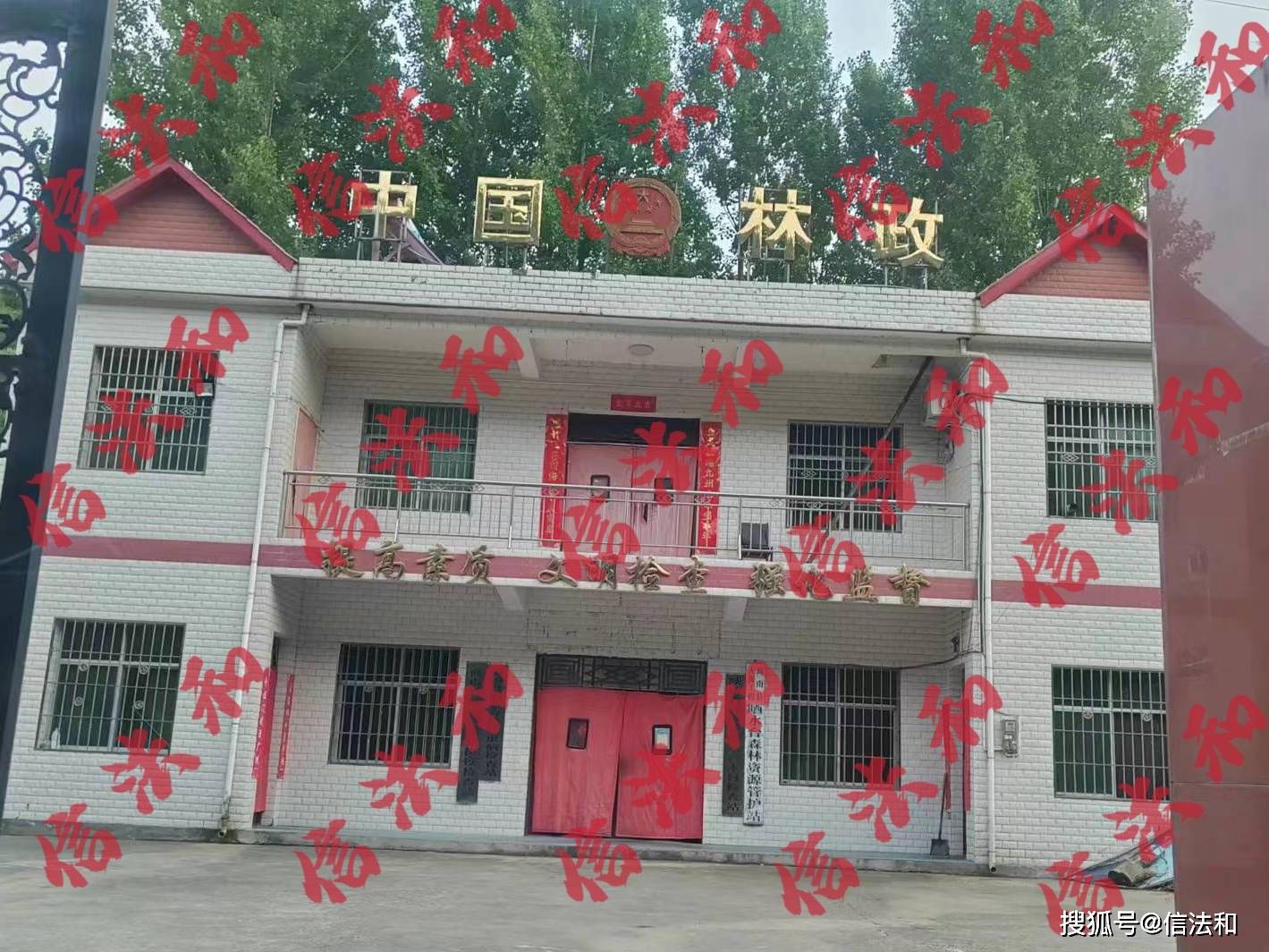 群众反映:商南县多个乡镇肆意砍伐林木 商南县林业局监管流于形式