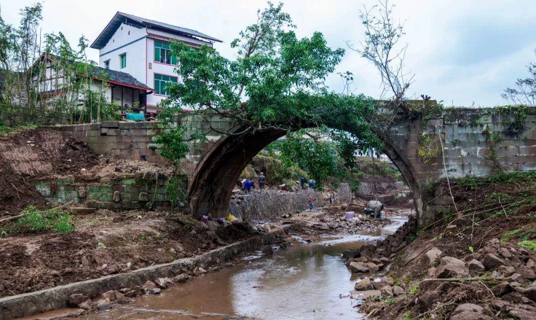 岳池:苟角蓝家院子