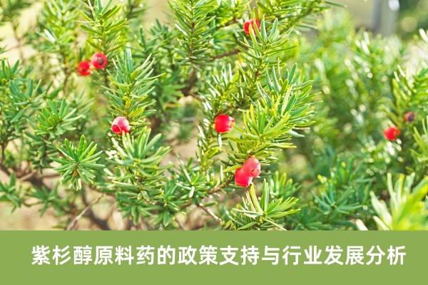 紫杉醇原料药的政策支持与行业发展分析