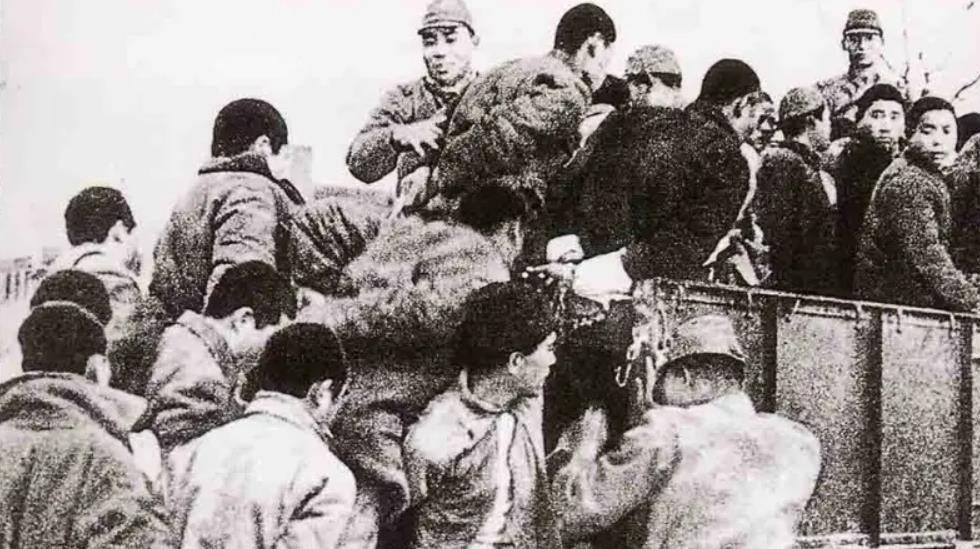 上海一厅局级干部看望哑娘,跪地喊道:娘,儿子回来了_明德英_老人_日军