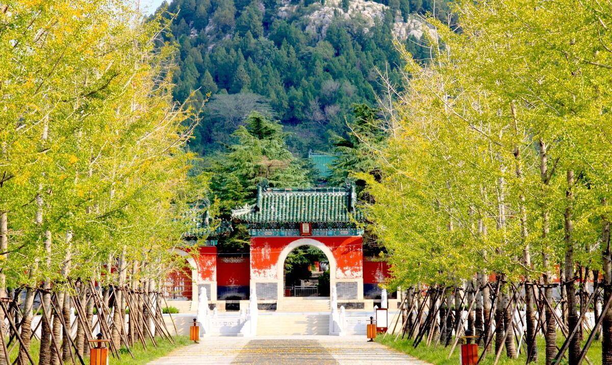 历史冷知识:朱元璋是明朝子嗣最多的皇帝,他的26个儿子结局如何