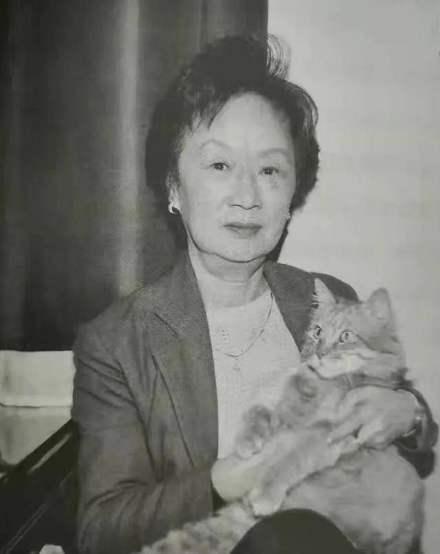 3个有名的女人,付出了一片真情,可3个女人都不爱他_黄宗英_赵丹_妻子