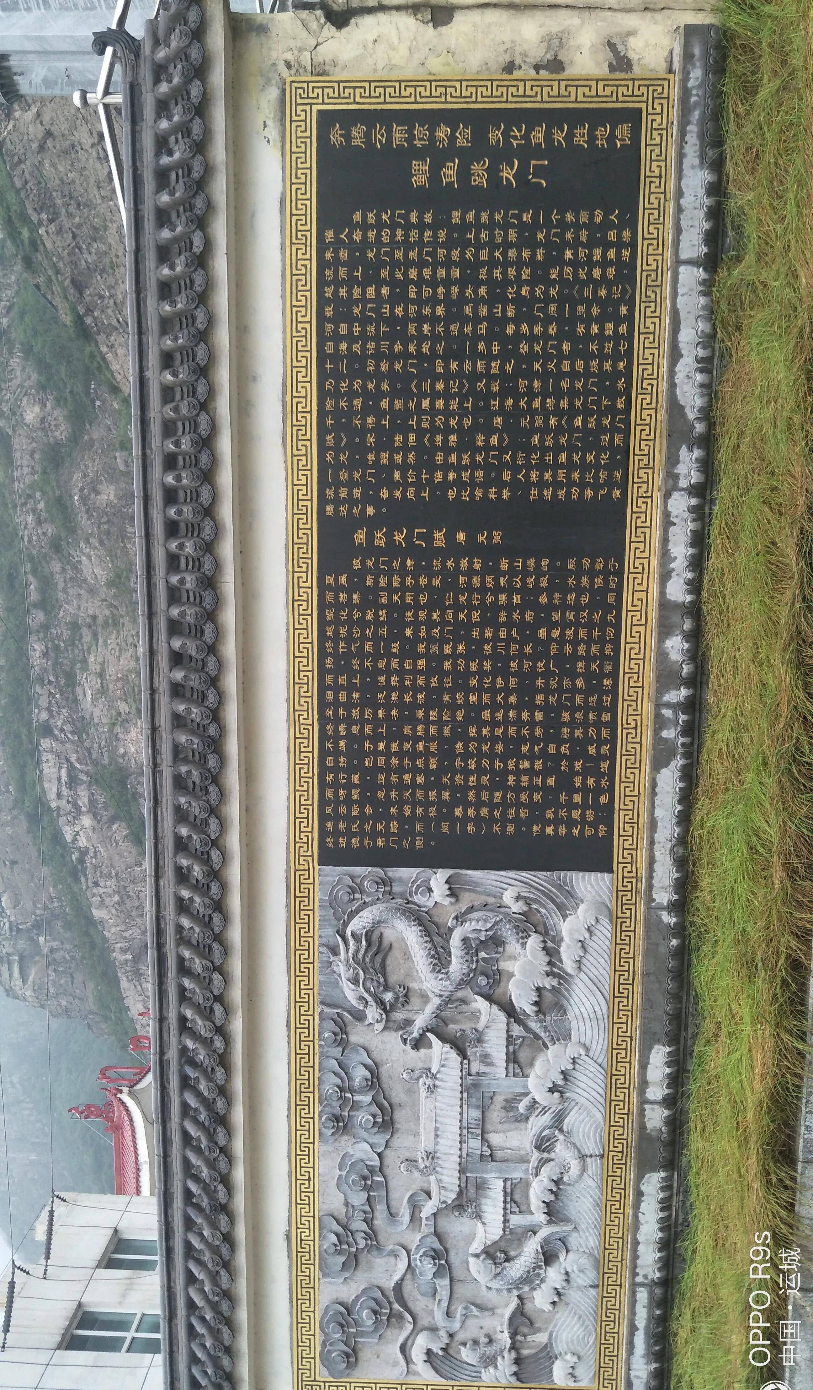 沿黄河锵锵三人行之鱼跃龙门