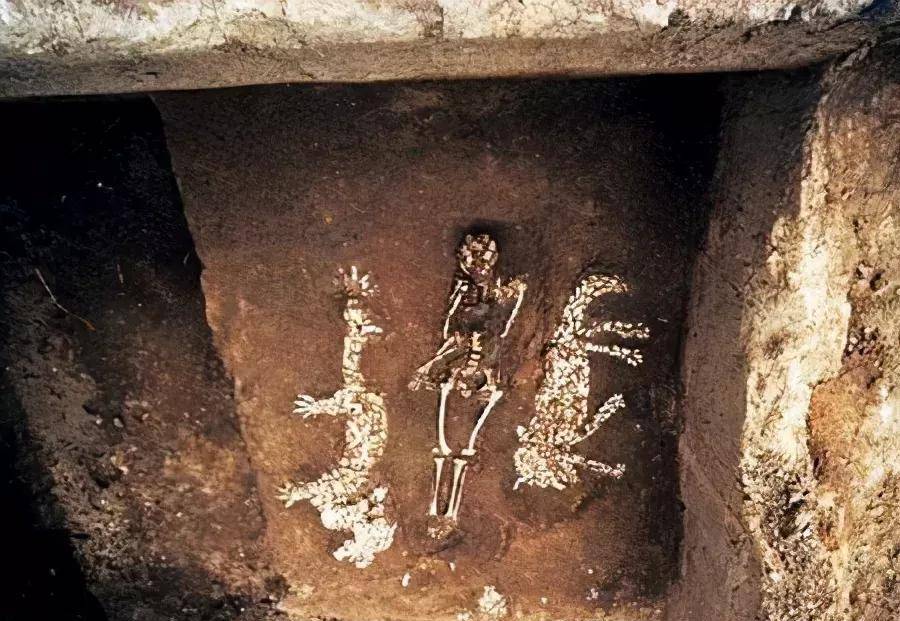 不是二里头,而是濮阳"帝丘"西水坡_龙虎墓_铭文_颛顼